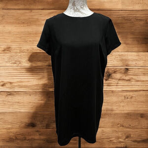 Lulus Black Shift Dress Medium Short Sleeve Gold Zipper Back Casual Chic